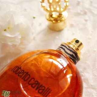 roberto cavalli��ʲô���ӣ��޲��п������Ǽ���ʲô���Σ�